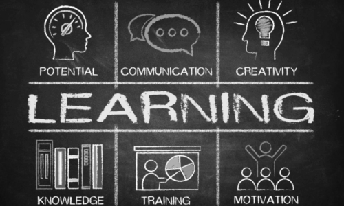 ORGANISATION AS A LEARNING SYSTEM